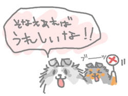 不正解