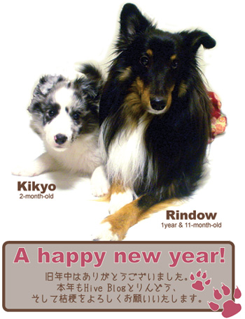 A happy new year!