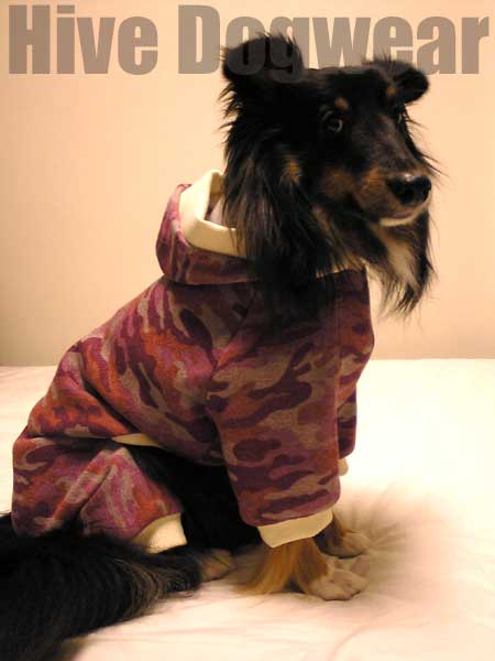 美品登場☆特別デザイン気質　優雅　舒 　　ダブルブレスト　ハンドメード　両面ウール　コート　ウール95%　カシミヤ5% コート コーヒー色 ☆プラクチカ PRAKTICA SUPER TL 1000 ボディ ＋ OSRAM BSD 25・STUDIO