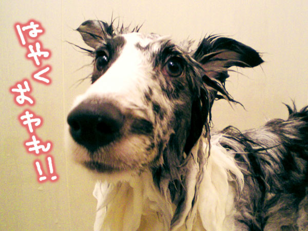 峯孝 造 「民族のお祭りのようなレリーフ」 灰皿？ 香炉？ ブロンズ