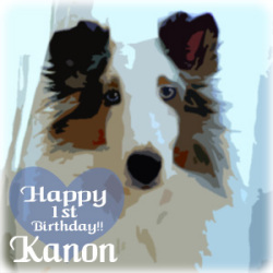 Happy birthday to Kanon!