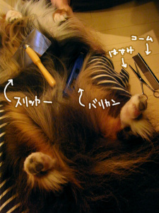 カット中