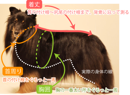 採寸のしかた 採寸のしかた