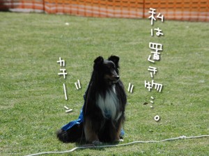 置物モードに入ってます 置物モードに入ってます