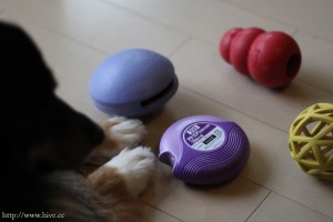 犬のおもちゃっぽい？