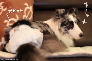 キリっとしてもカッコ悪いです キリっとしてもカッコ悪いです