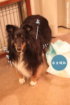 すっきり、母ちゃんがっくり
