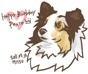 Happy Birthday!!