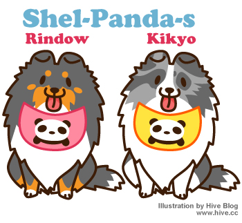 シェルパンダーズ！