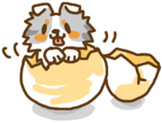 しぇるたまごちゃん しぇるたまごちゃん