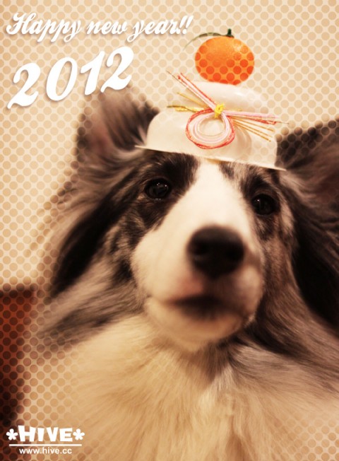 A happy new year!! A happy new year!!