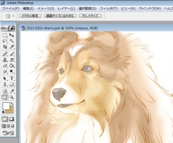 Lovely Sherry ♪ Lovely Sherry ♪