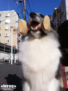 あはははは~ あはははは~