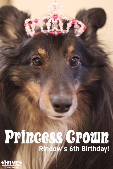 Princess Crown Princess Crown