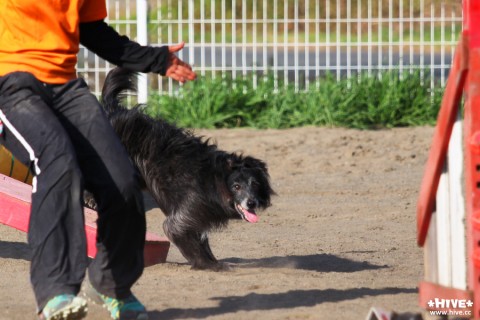 Photo3 Photo3