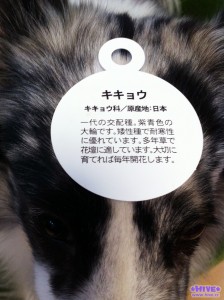 大切に育てないとですね 大切に育てないとですね