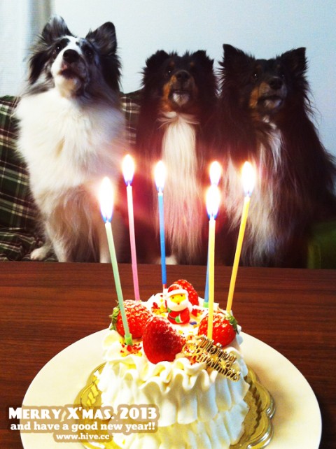 クリスマスケーキ