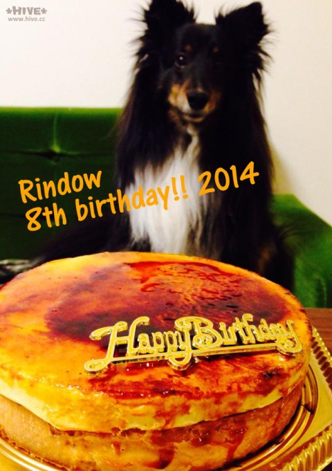 Happy birthday!!