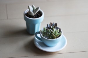 なんだかお洒落っぽい