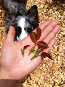 なんとなく、捨てるのが勿体無い