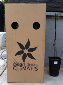 可愛いダンボール