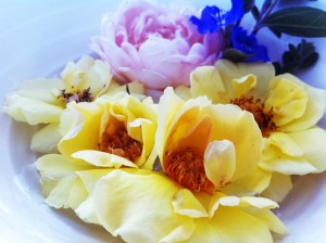 バレナアレン、アンブリッジ・ローズ