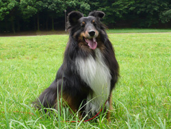 79e72215906563ab40becf9b02bb776d