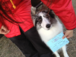 7de14bfc2010bcfd6de8a3f823a48f26