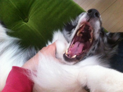 c70fe798523226cb6c60c01eee29d3b9