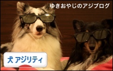 にほんブログ村 犬ブログ ドッグアジリティ（ドッグスポーツ）へ